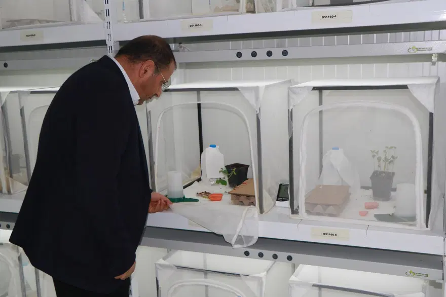 İstilacı 'kokarca'ya karşı 30 bin samuray arı yetiştiriliyor 4 İstilacı 'kokarca'ya karşı 30 bin samuray arı yetiştiriliyor 4