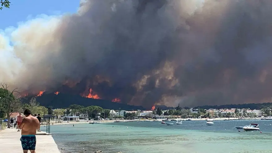 Çanakkale orman yangını: İki büyük felaketin zararı uydudan görüntülendi 1