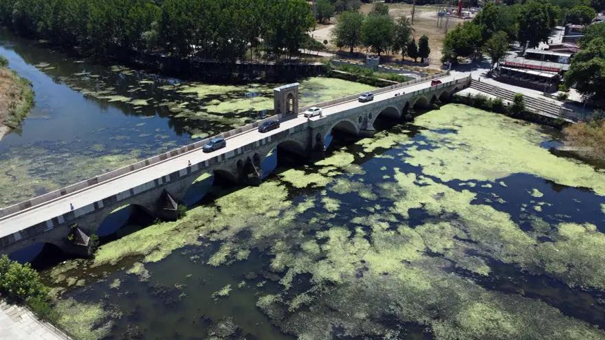 Debi düştü, Tunca Nehri yosunla kaplandı 8