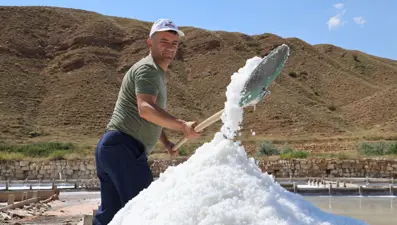 Yerin 7 metre altından çıkarılıyor: Beyaz altın hasadı başladı, içinde 84 mineral var