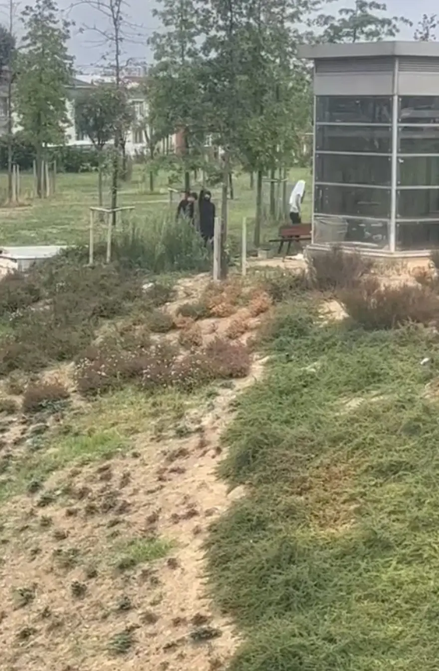 TEM Otoyolu kenarında bayıltan dayak 3