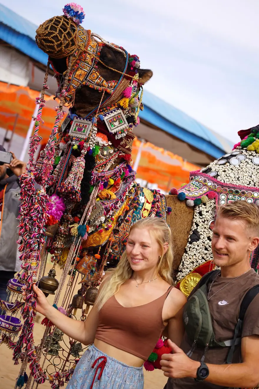 Hindistan'da geleneksel Pushkar Deve Festivali gerçekleştirildi Hindistan'da geleneksel Pushkar Deve Festivali gerçekleştirildi