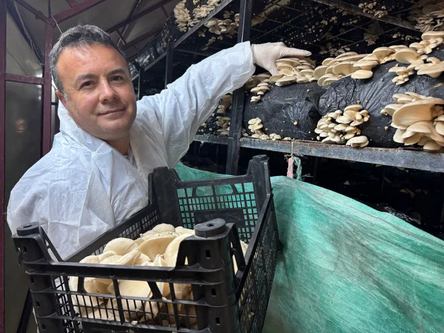 Mutfak masrafını karşılamak için kurdu şimdi birçok ile gönderiyor Mutfak masrafını karşılamak için kurdu şimdi birçok ile gönderiyor