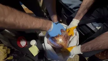 Salçanın içinden uyuşturucu çıktı: TIR şoförü tutuklandı