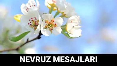 Nevruz Bayramı mesajları 2025: Nevruz sevgiyle yeşeren umutların bayramıdır