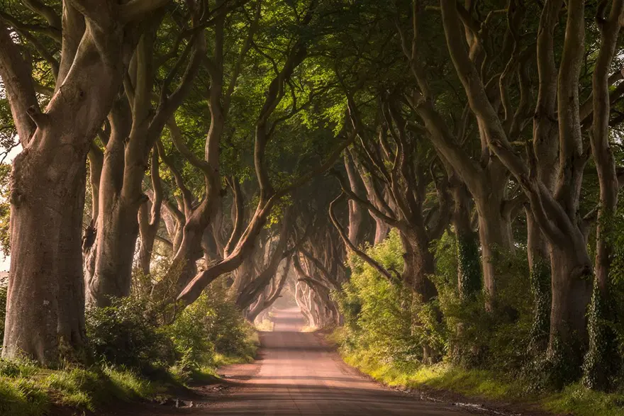 Avrupa gezilecek yerler, Colmar, Dark Hedges, Eilean Donan Kalesi, Eltz şatosu, Masal Diyarları, Masal Gibi Bir Tatil, masallara yakışan destinasyonlar, masalsı seyahatler, Multnomah Şelalesi, Orcus Mouth, şato, Seyahat 