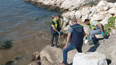 Denizi kirleten Yalova Belediyesi'ne 1,3 milyon lira ceza