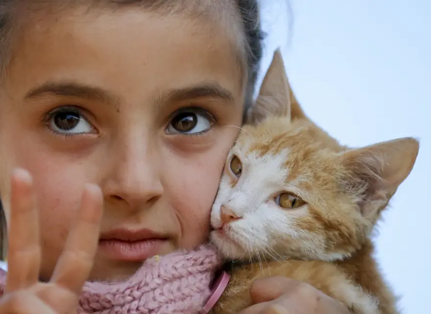 Savaştan minik kedisiyle kaçtı 2