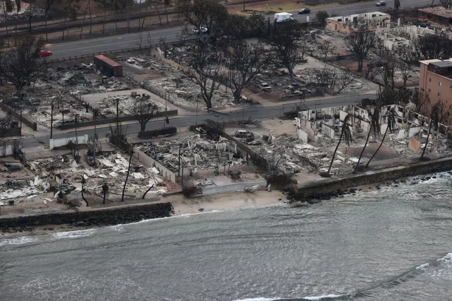 Hawaii'de devam eden orman yangınlarında ölenlerin sayısı 80'e çıktı 8