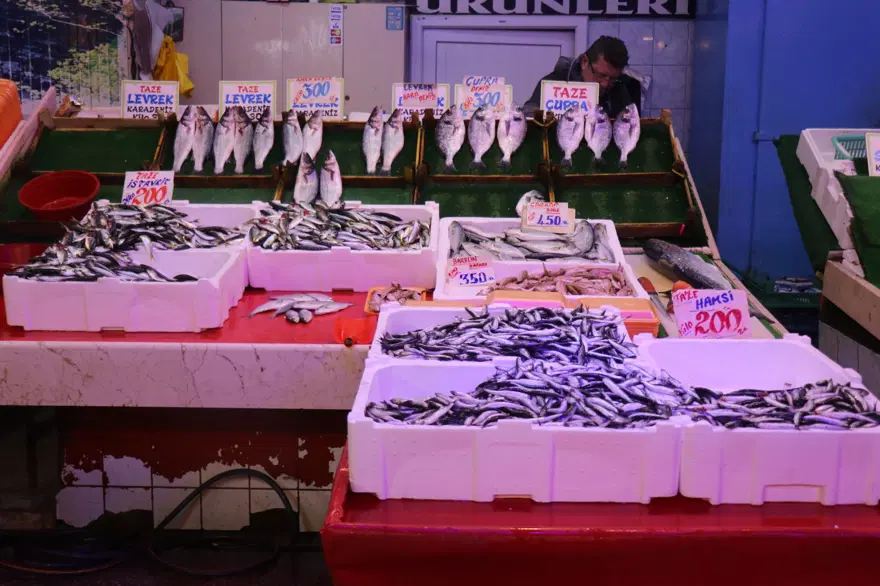 Geçen hafta 100 liraydı, fiyatı 2 katına çıktı: Hamsiyle aynı tezgahı paylaşıyor 1 Geçen hafta 100 liraydı, fiyatı 2 katına çıktı: Hamsiyle aynı tezgahı paylaşıyor 1