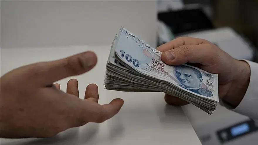 Haziran ayı Aile Destek ödemeleri ne zaman yatacak? (Aile Destek uygulamasında son tarih yaklaşıyor) 3