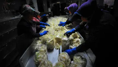 'Turşu göçü' mahallede nüfusu ikiye katladı