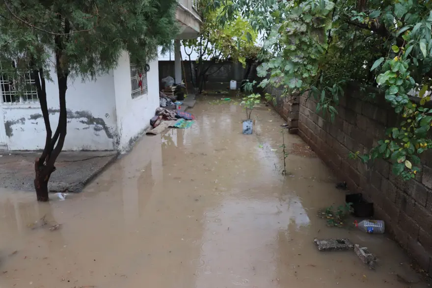 Mardin ve Şırnak'ta sağanak: Evleri su bastı 7