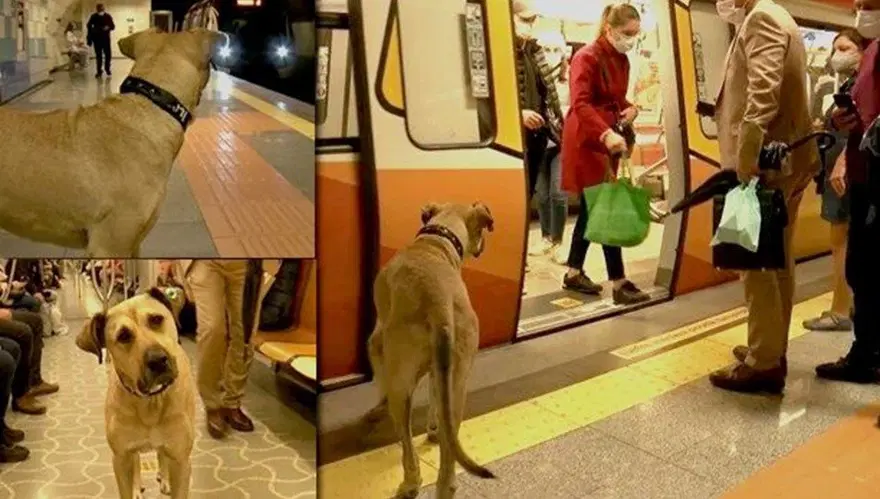 'Boji'ye atılan iftira güvenlik kamerasında 