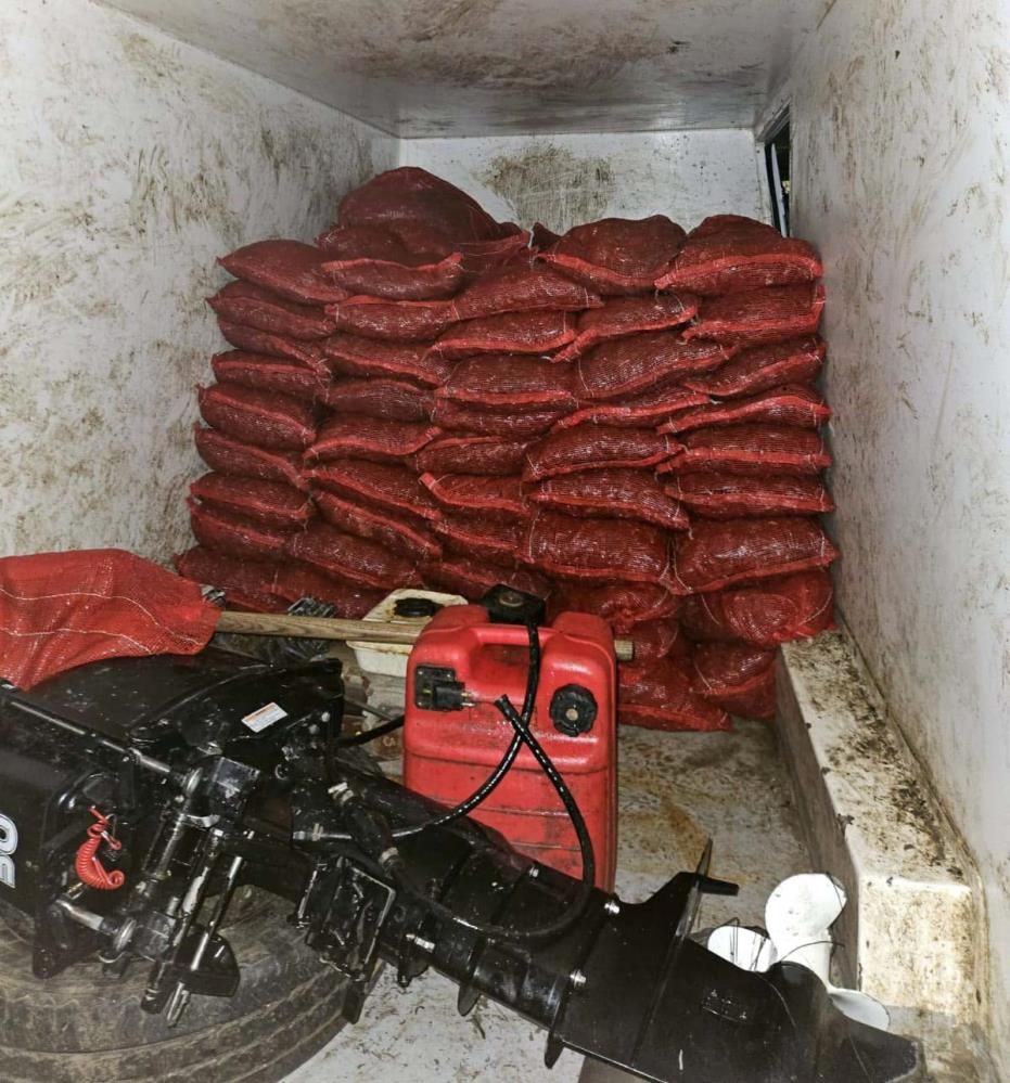 Yalova'da 2 ton 300 kilo kaçak midye ele geçirildi