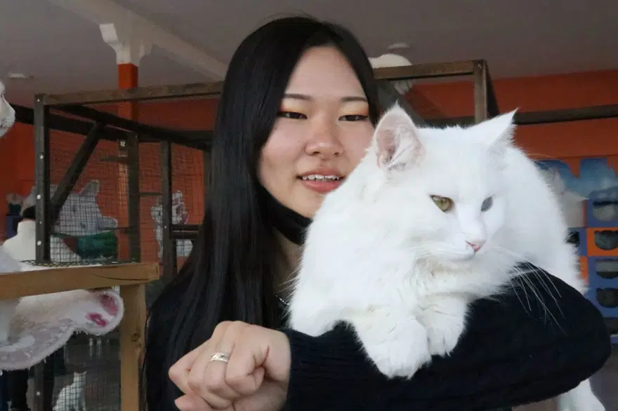 Japon geline Van usulü görkemli düğün 5 Japon geline Van usulü görkemli düğün 5