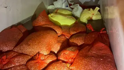 Kaçak midye avcılığına 37 bin lira ceza