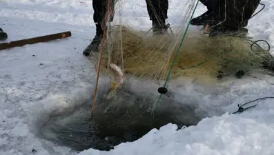Köylüler ekmeklerini 'buzdan' çıkarıyorlar: Kilosu 150 TL'den başlıyor