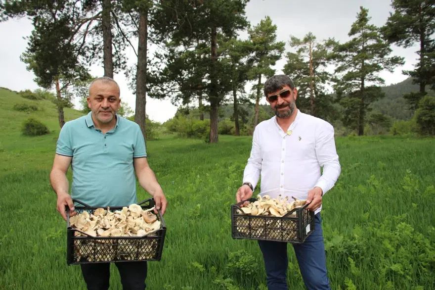 Zehirlenme vakalarında artış: Masum görünse de ölümcül olabiliyor 4