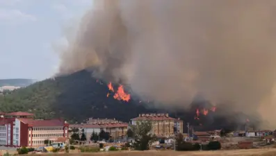 Edirne'de makilik yangını: Alevler tarlaya sıçradı
