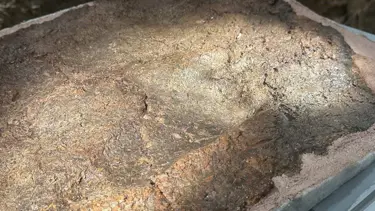 İznik Müzesi'nde 8 bin yıllık ayak izi