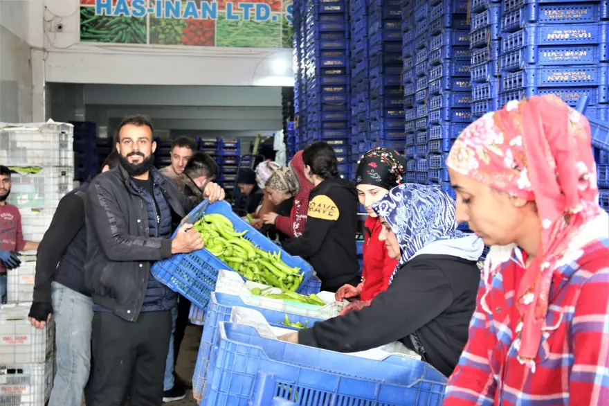 Rusya operasyonu Antalya halinde fiyatları yarıya düşürdü 2