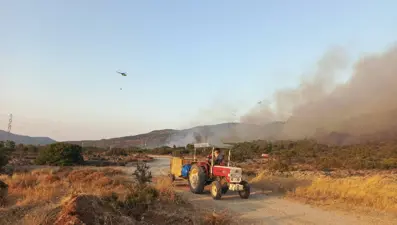 Urla'da ormana sıçrayan yangın kontrol altında