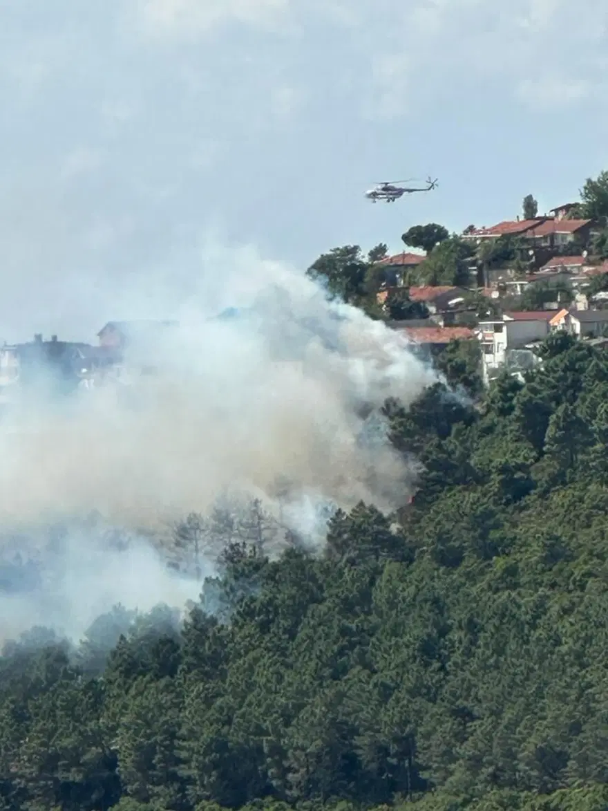 İstanbul Maltepe'de orman yangını 1