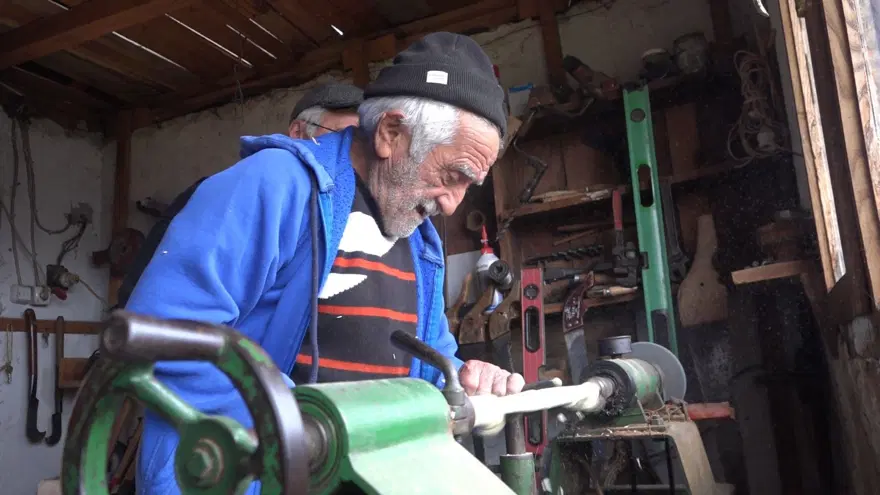 HER AĞACI DEĞERLENDİRİYOR 1