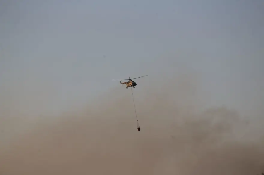 Cumhurbaşkanı Erdoğan: Marmaris'teki orman yangını büyük oranda kontrol altında 54