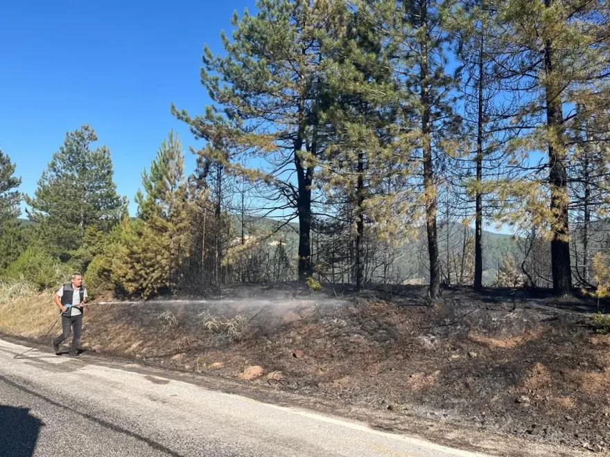 Kütahya’da orman yangını 4 Kütahya’da orman yangını 4