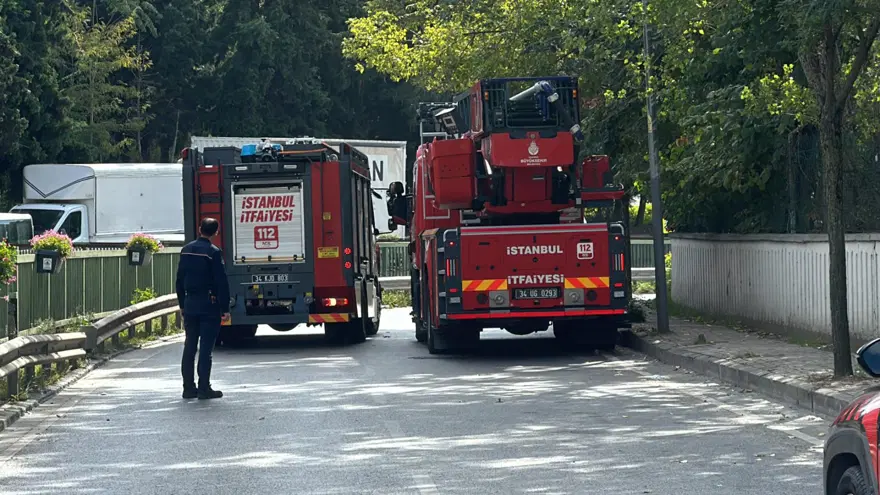 Kağıthane'de feci ölüm: 1 tonluk TIR rampasının altında can verdi 15 Kağıthane'de feci ölüm: 1 tonluk TIR rampasının altında can verdi 15