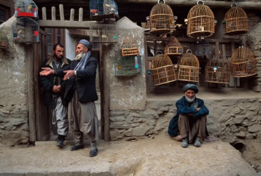 Afgan Kızı ve diğer fotoğrafları 22 Afgan Kızı ve diğer fotoğrafları 22