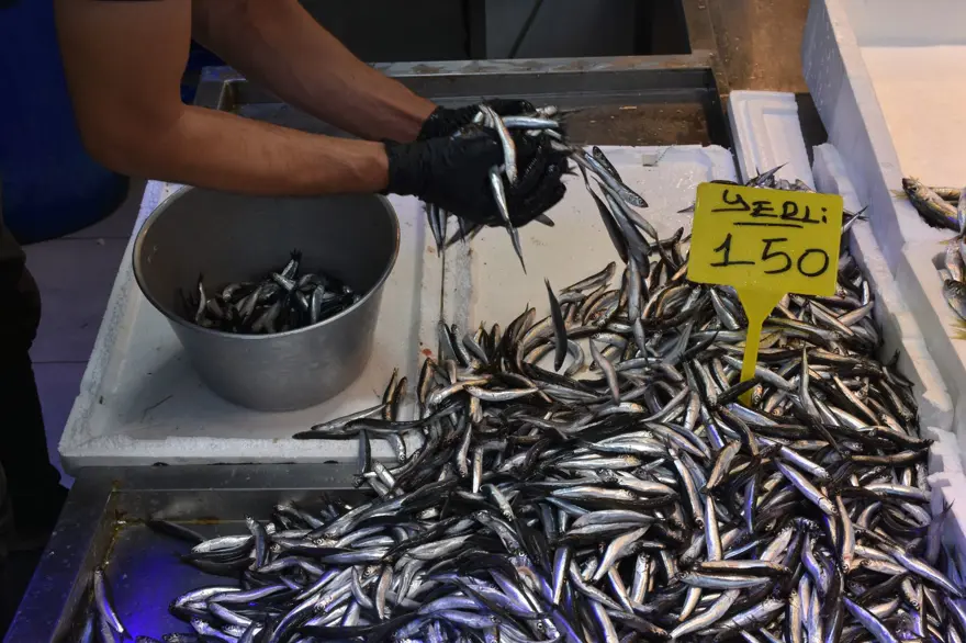 Kilosu 150 liradan satışta:  Taze taze tezgahta 