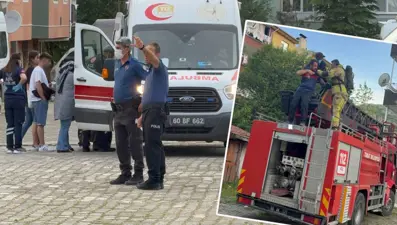 Fare kovma yöntemi hastanelik etti