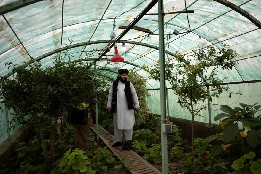 Taliban’ın en ünlü keskin nişancısı Afganistan’da belediye başkanı oldu 2