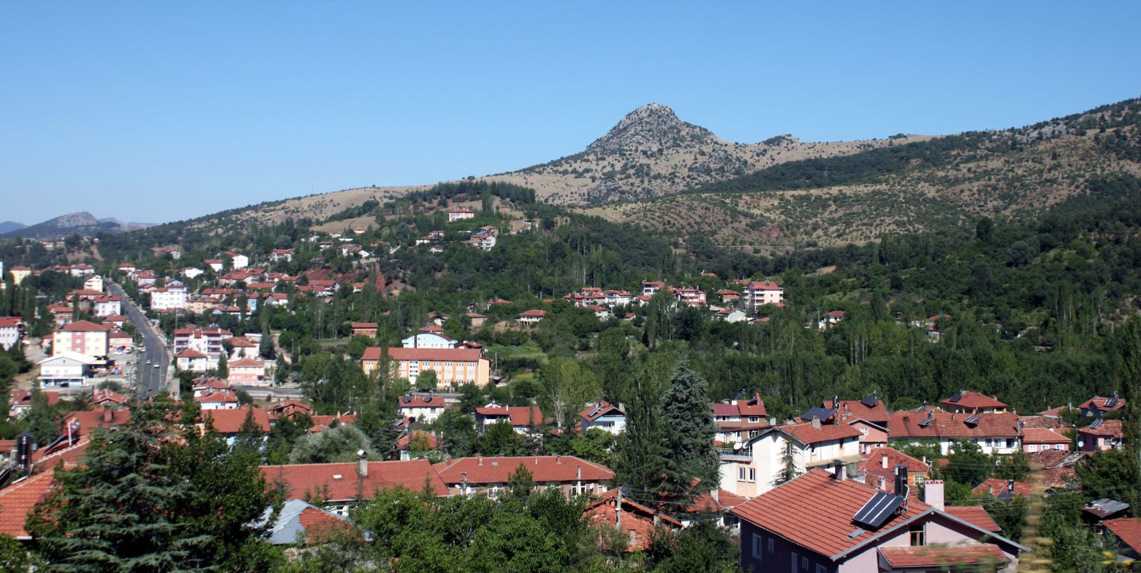 Seçim yarışını 1 oy farkla kazandı