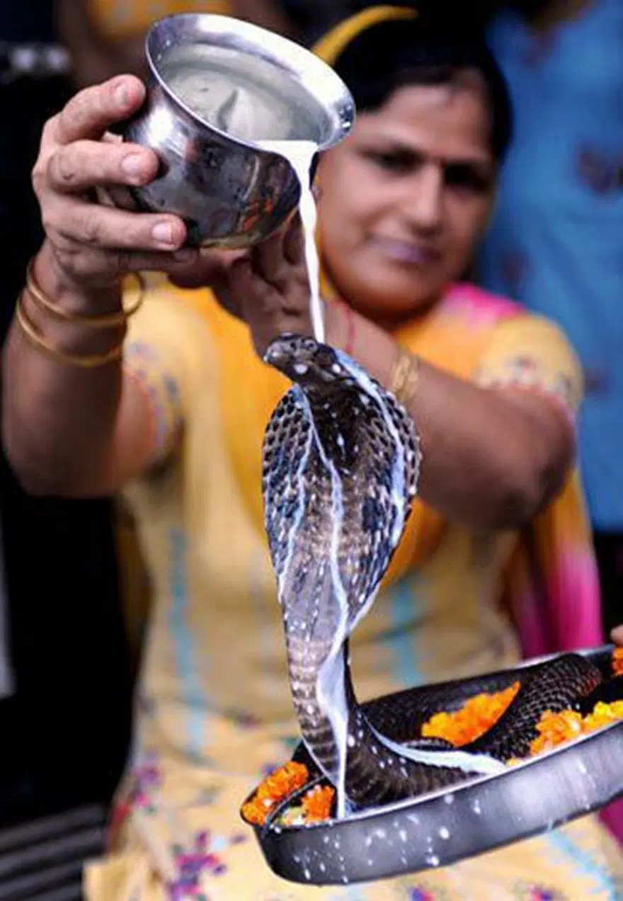 Gariplikler diyarı: Hindistan 38 Gariplikler diyarı: Hindistan 38