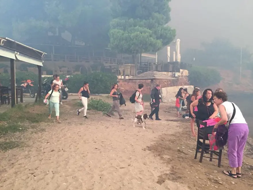 Yunanistan'daki orman yangınında ölü sayısı 81'e yükseldi (180'i aşkın yaralı var) 70