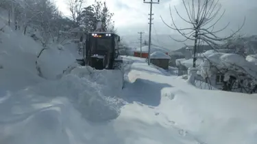 Ordu'da kapanan 633 mahalle yolundan 620'si açıldı