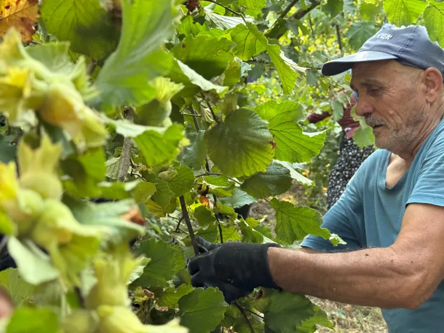 "TOPLAMA MALİYETLERİ YÜKSELDİ" 4 "TOPLAMA MALİYETLERİ YÜKSELDİ" 4