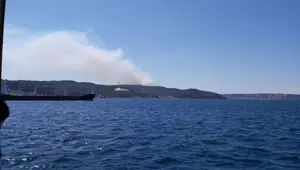 Çanakkale'de orman yangını (Bakan Pakdemirli'den açıklama)