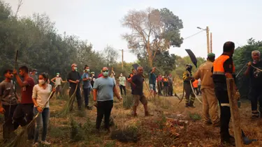 Tarihlerindeki en büyük orman yangınları: İspanya ve Portekiz alevlere teslim