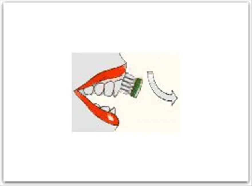 Doğru diş fırçalama teknikleri 3 Doğru diş fırçalama teknikleri 3