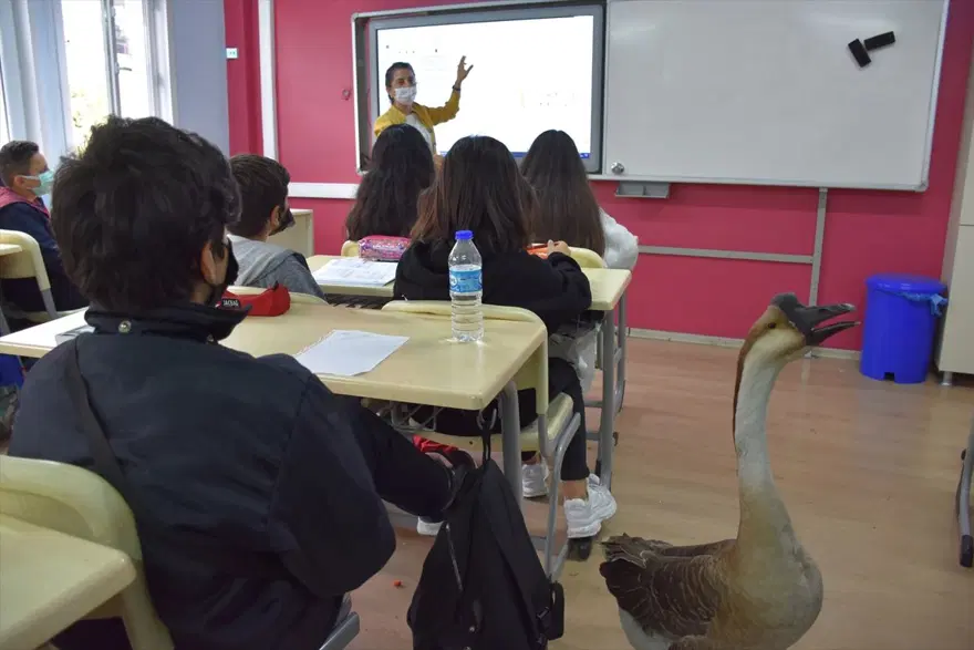 "BENİM İÇİN 'KİRLİ' EVLAT DEMEK" 8