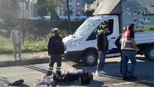 Ordu'da kamyonun çarptığı kadın hayatını kaybetti