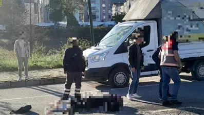 Ordu'da kamyonun çarptığı kadın hayatını kaybetti