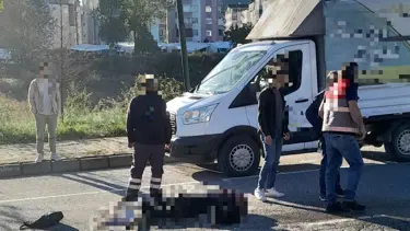 Ordu'da kamyonun çarptığı kadın hayatını kaybetti