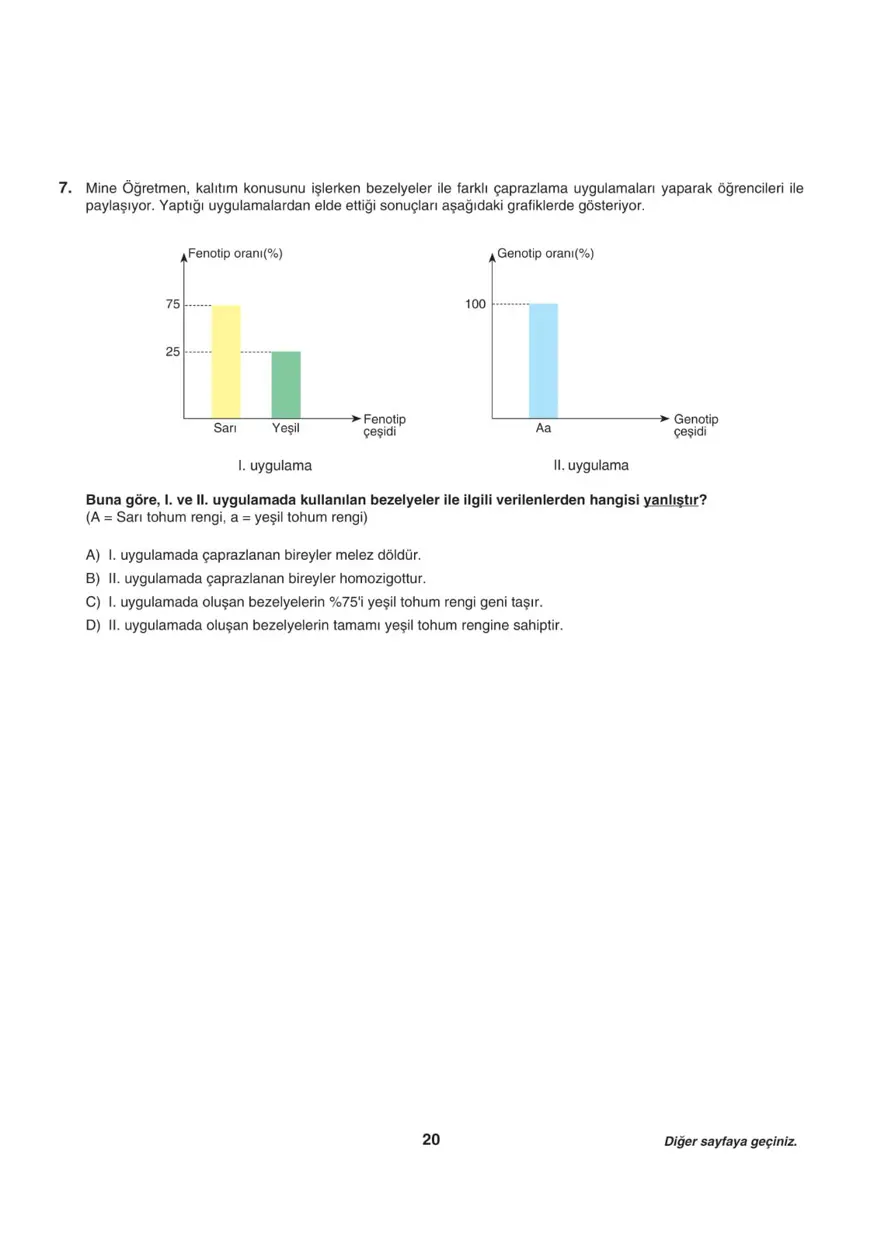 Uğur Okulları LGS-2 sayısal deneme sınavı 19