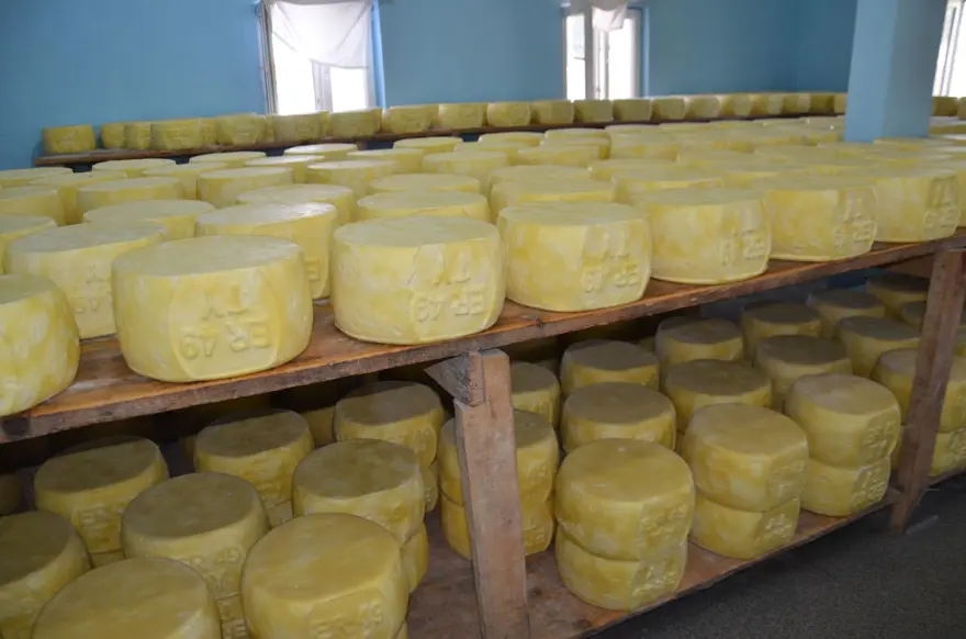 Girişimci 5 kardeş tesis kurdu şimdi ülkenin dört bir yanına pazarlanıyor 2